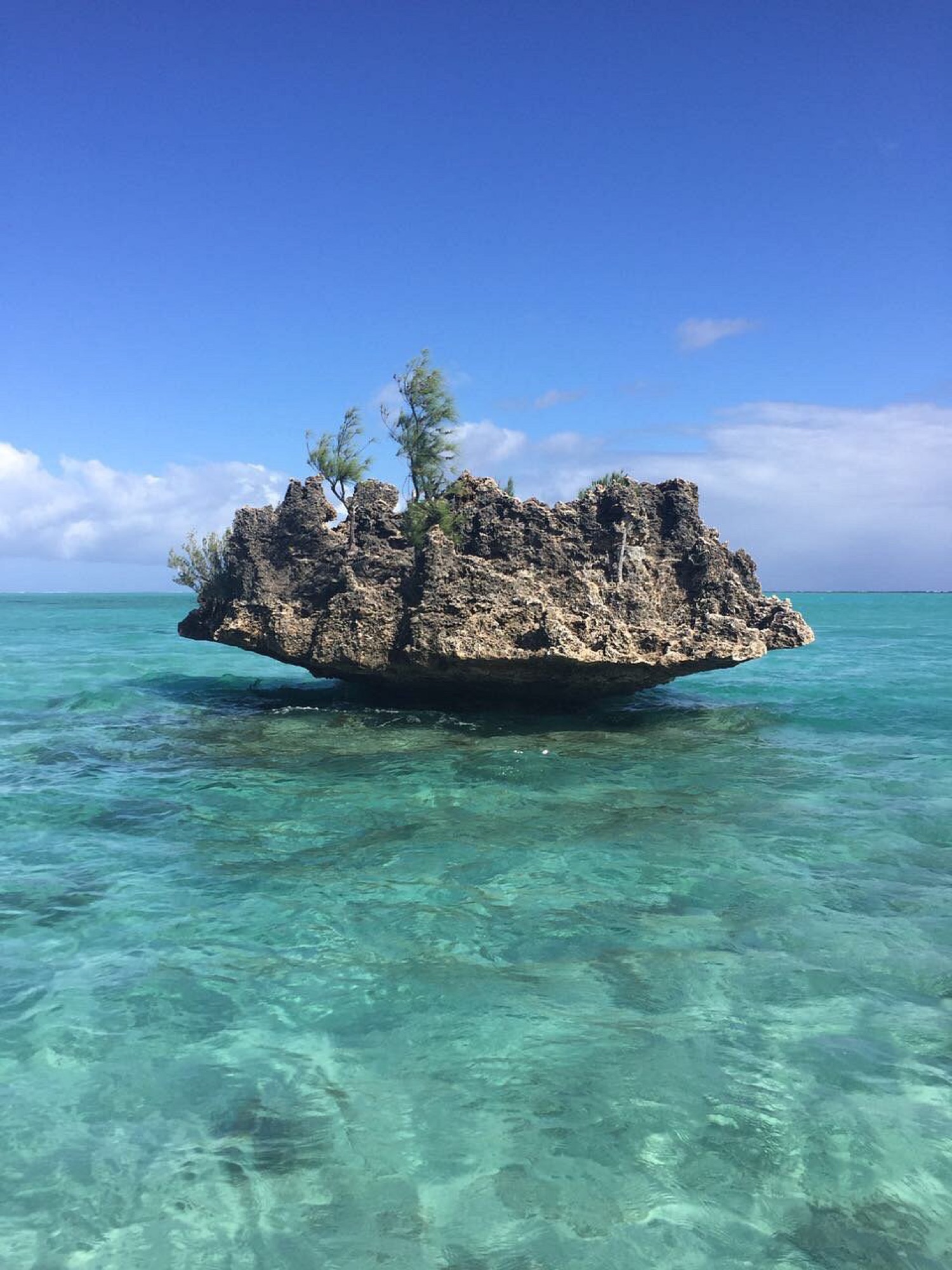 Île aux Bénitiers